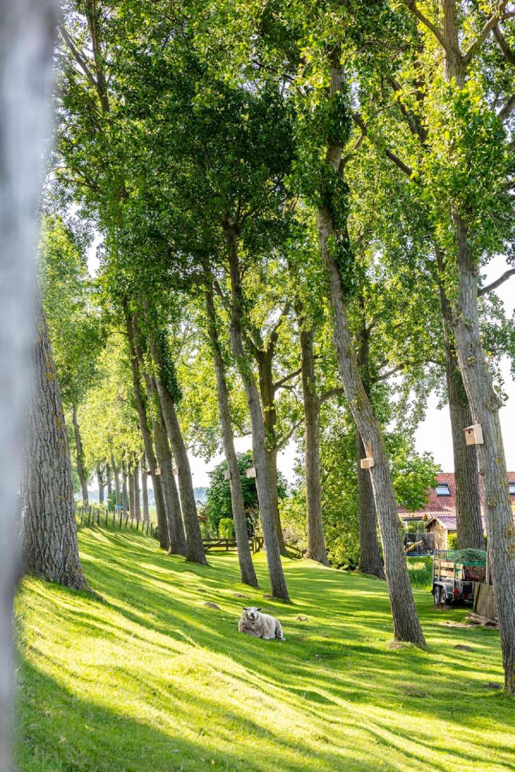 Holiday Home Polderzicht By Interhome Zuid-Beijerland Luaran gambar